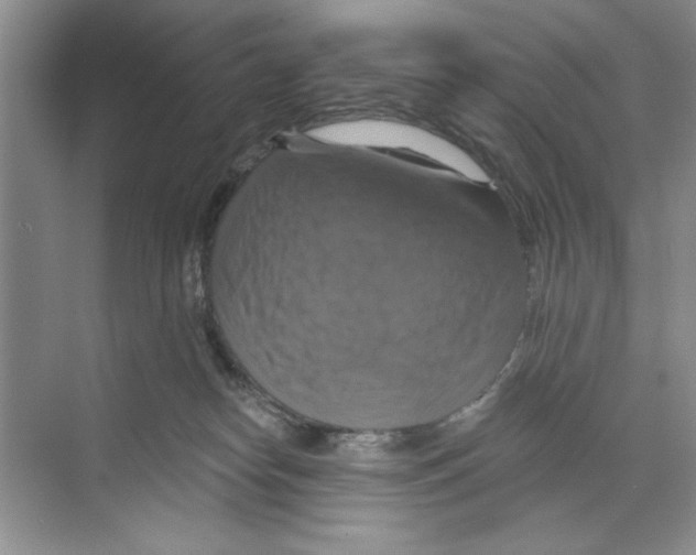 X0000068840182200606021718