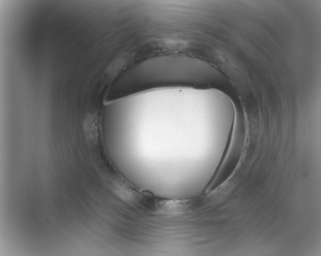 X0000068840184200606021718