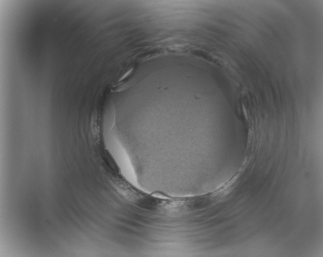 X0000068840186200606021718