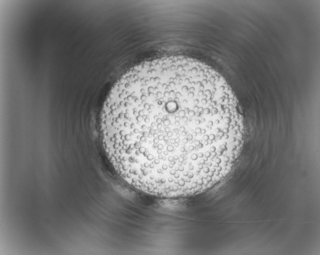 X0000068840187200606021718