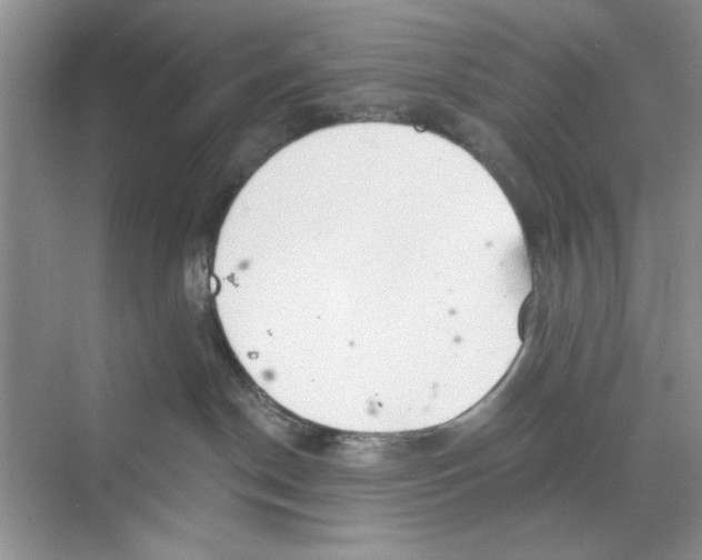 X0000068840190200606021718