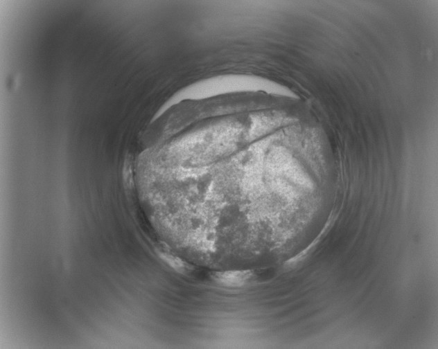 X0000068840191200606021718