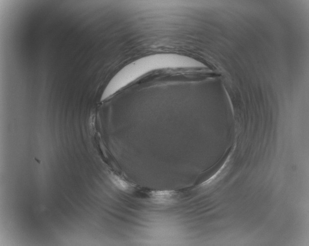 X0000068840192200606021718