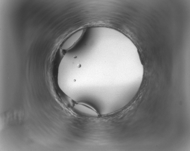 X0000068840193200606021718