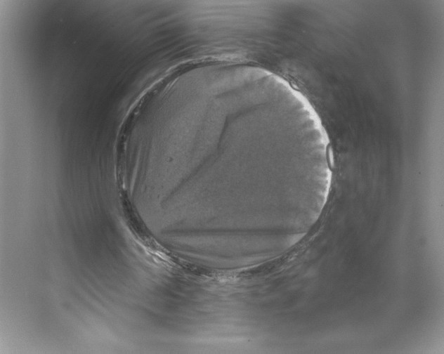 X0000068840194200606021717