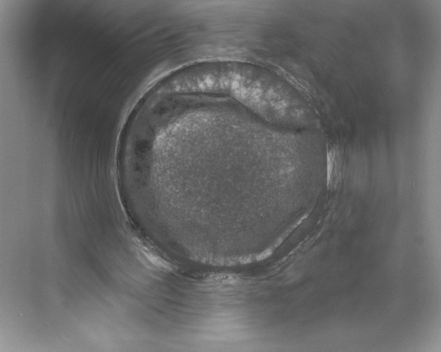 X0000068840195200606021717