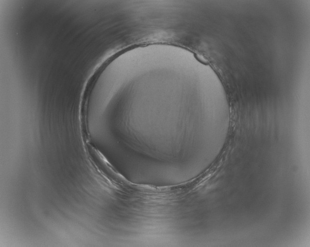 X0000068840196200606021717