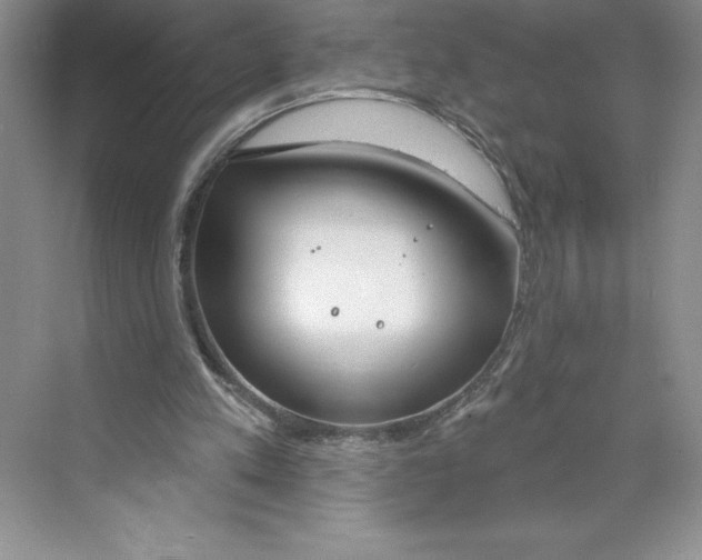 X0000068840197200606021717