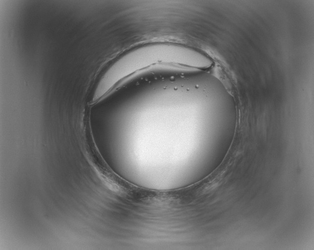 X0000068840201200606021717