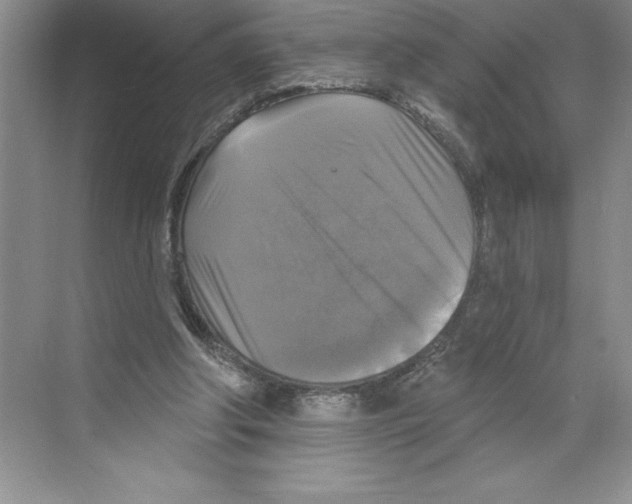 X0000068840202200606021717