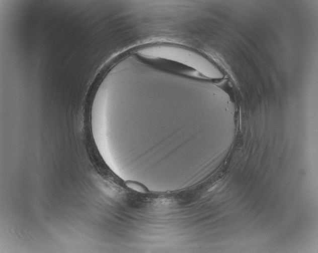 X0000068840204200606021717