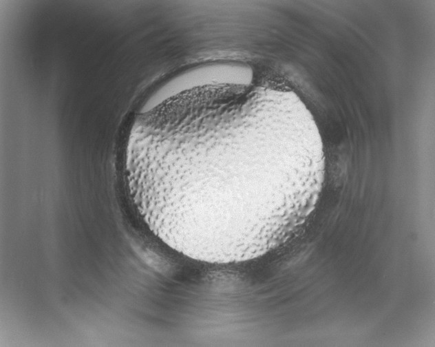 X0000068840207200606021717