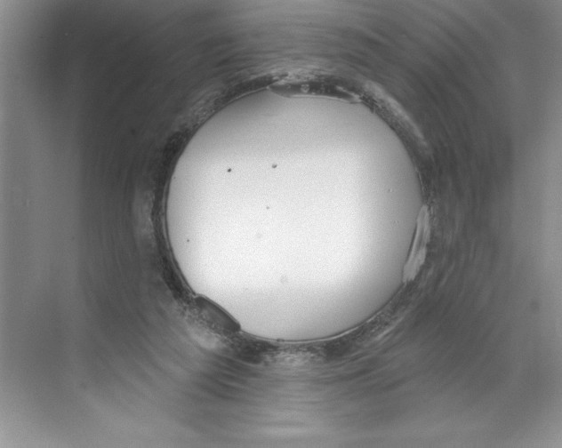 X0000068840209200606021717