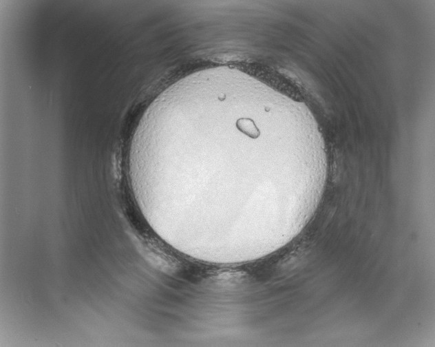 X0000068840210200606021717