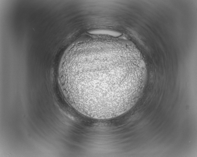 X0000068840211200606021717