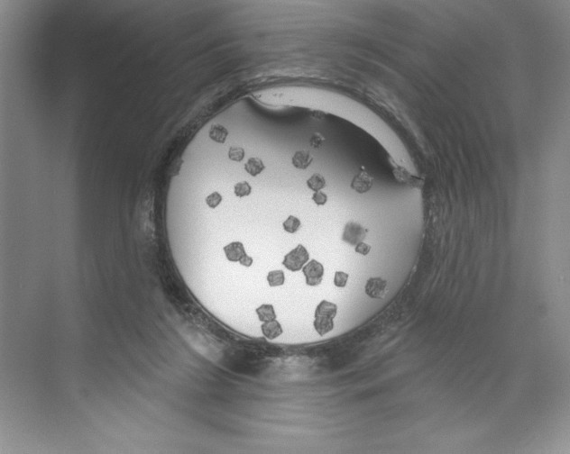 X0000068840212200606021717