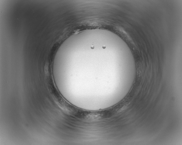 X0000068840213200606021717