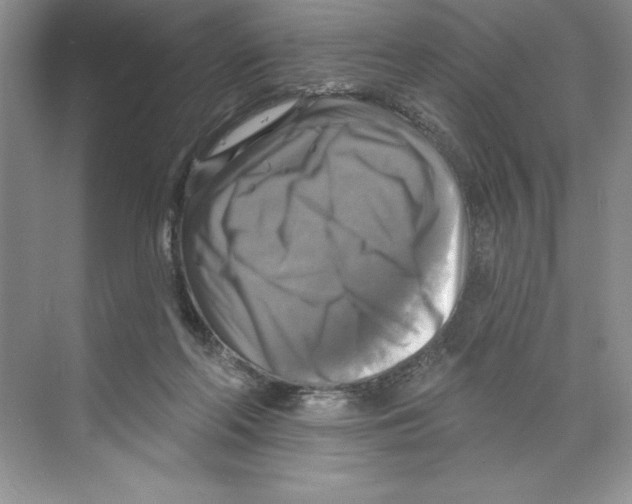 X0000068840214200606021717