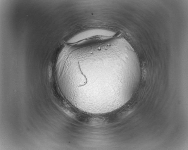 X0000068840215200606021717