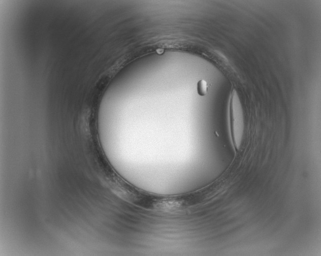 X0000068840217200606021717