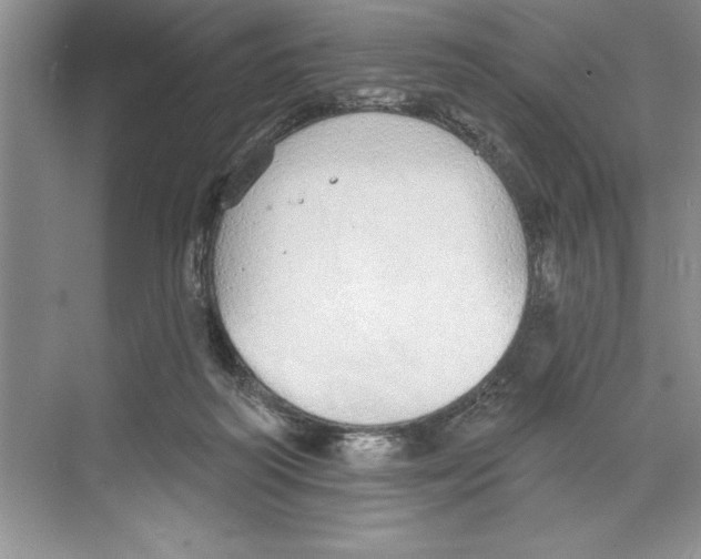 X0000068840218200606021717