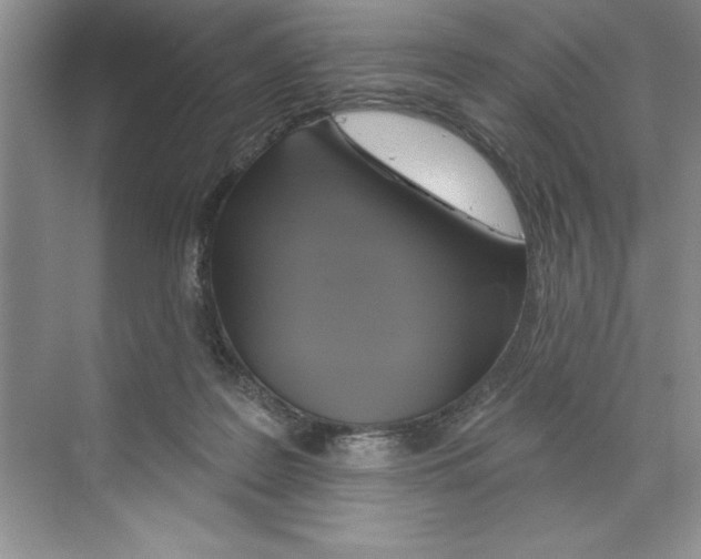 X0000068840219200606021717