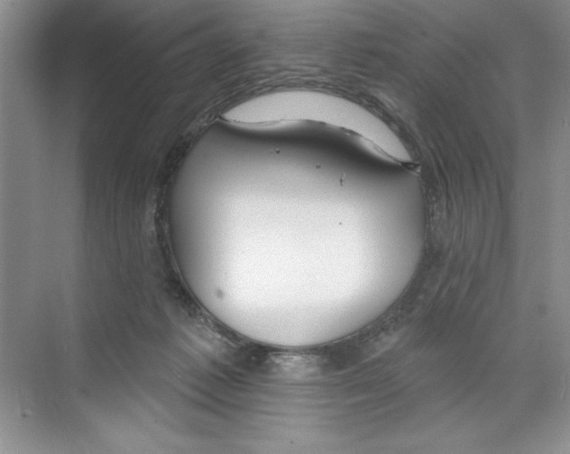 X0000068840221200606021717