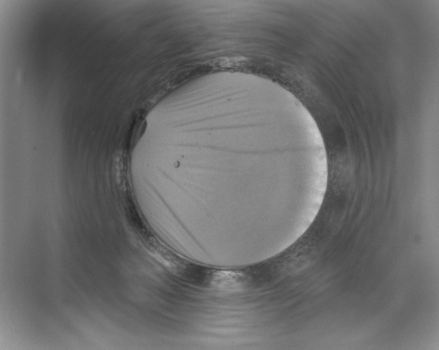 X0000068840222200606021717