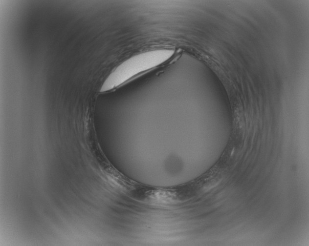 X0000068840223200606021717