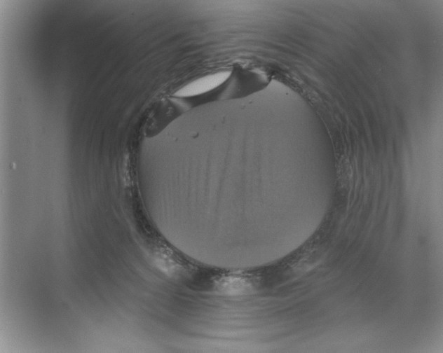 X0000068840224200606021717