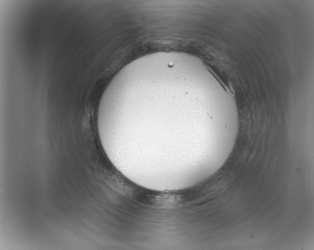 X0000068840225200606021717