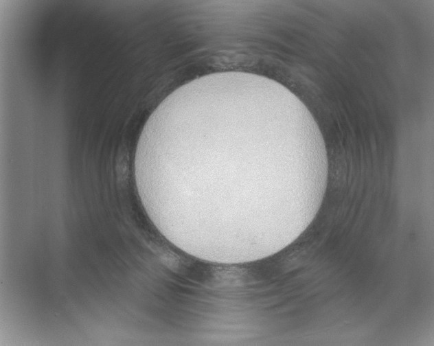 X0000068840226200606021717