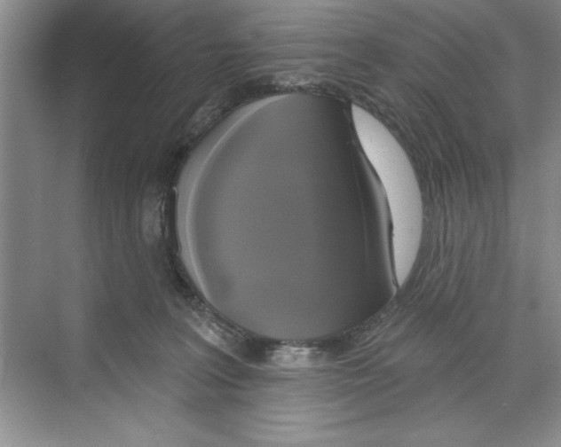 X0000068840227200606021717