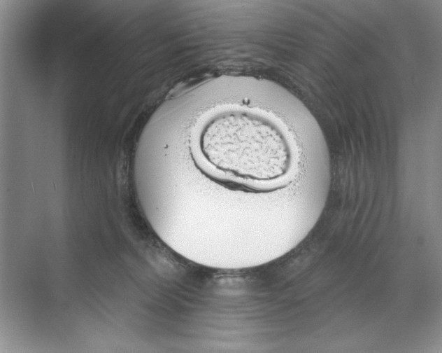 X0000068840228200606021717