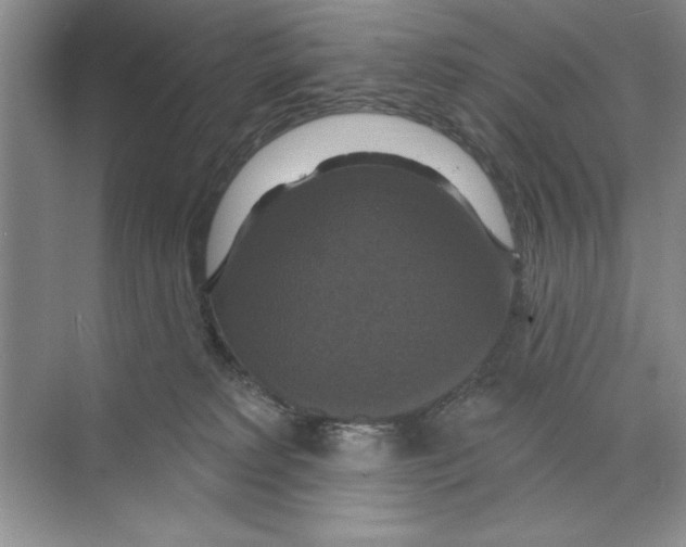 X0000068840229200606021717