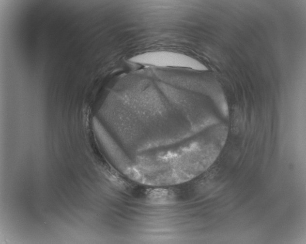 X0000068840230200606021717