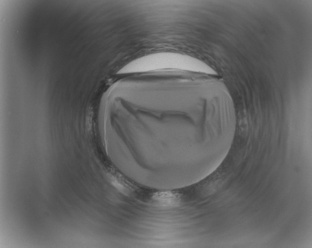 X0000068840231200606021717