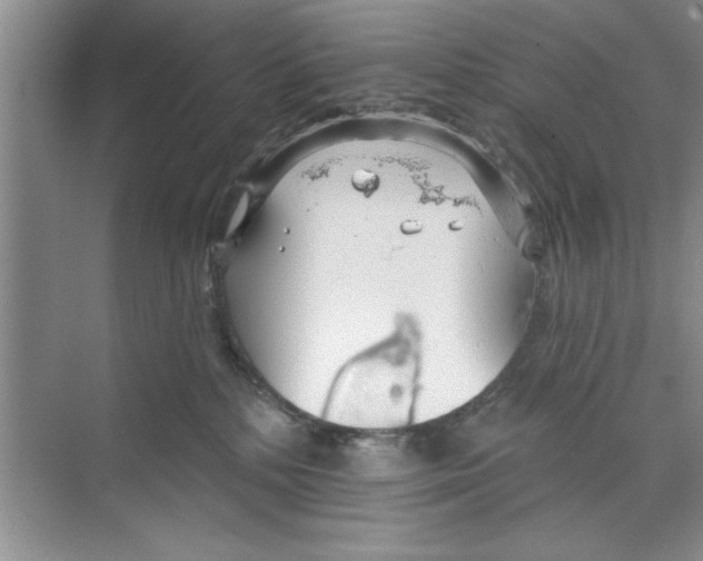 X0000068840232200606021717