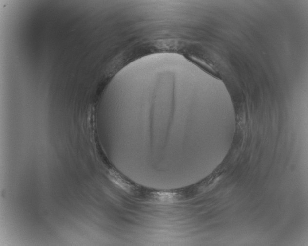 X0000068840233200606021717