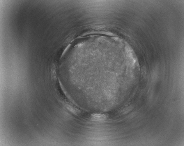 X0000068840234200606021717