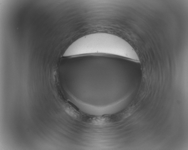 X0000068840235200606021717