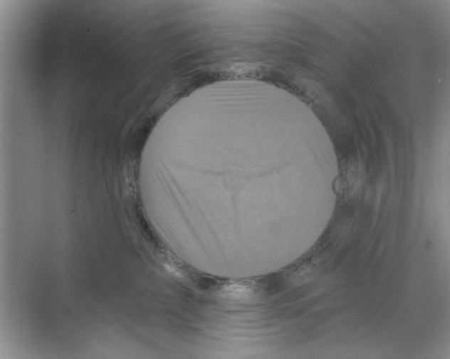 X0000068840236200606021717