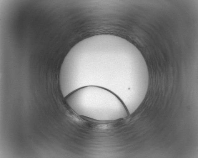 X0000068840237200606021717