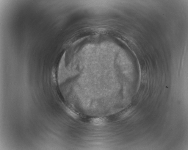 X0000068840238200606021717