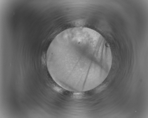 X0000068840240200606021717