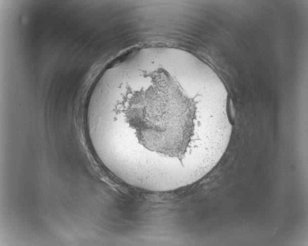 X0000068840241200606021716