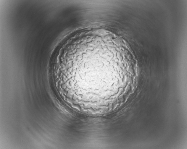 X0000068840242200606021716