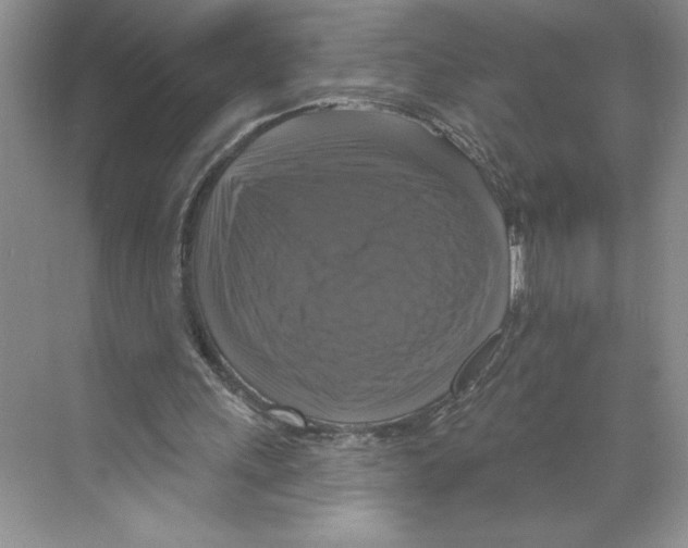 X0000068840243200606021716