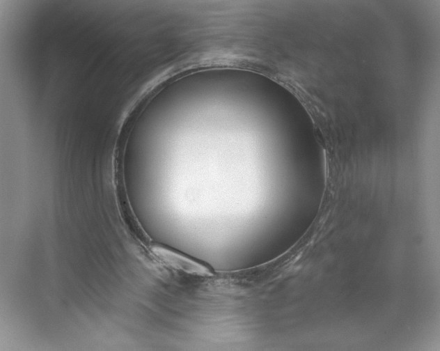 X0000068840244200606021716