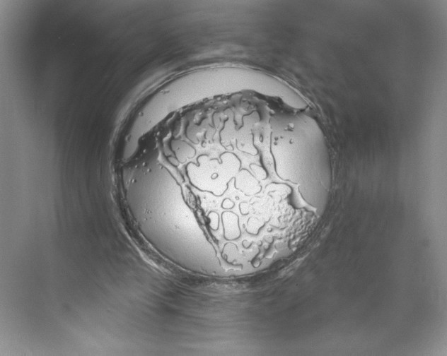 X0000068840245200606021716